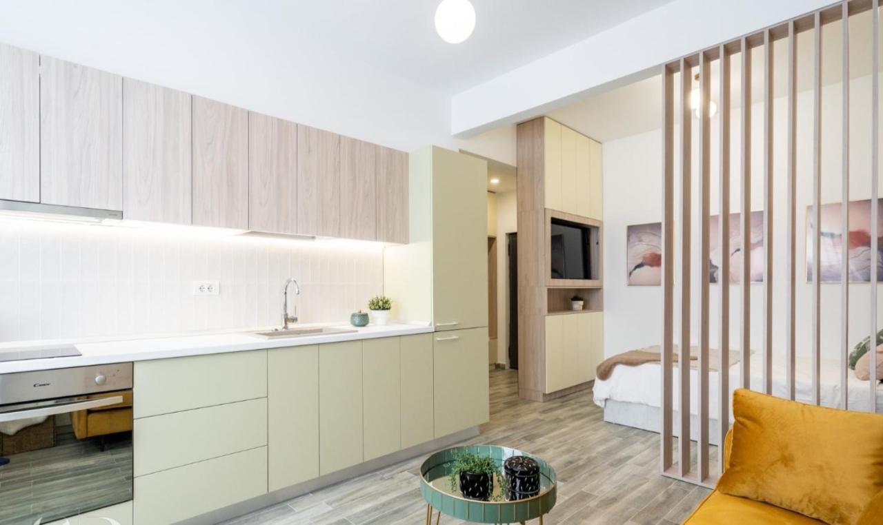 Executive Suites In Center Bukurešť Exteriér fotografie